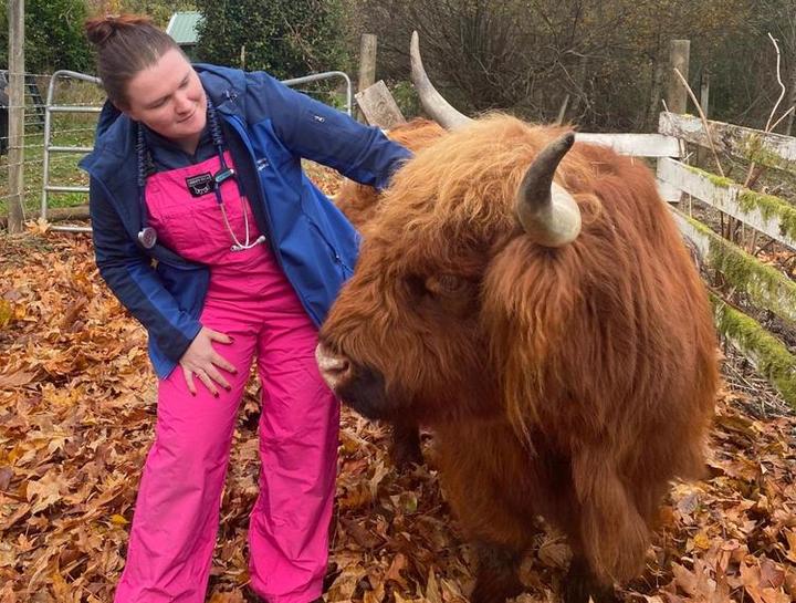 Livestock vet near me